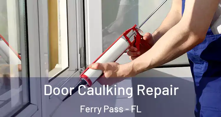  Door Caulking Repair Ferry Pass - FL